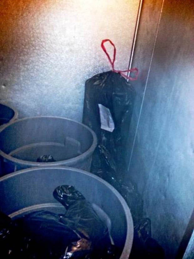 Photo purporting to show euthanized animal corpses wrapped in trash bag at a PETA facility. (Former PETA employee)