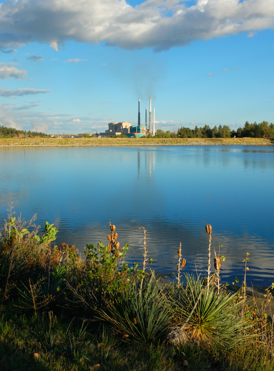 The Colstrip Plant is seen behind an artificial lake.