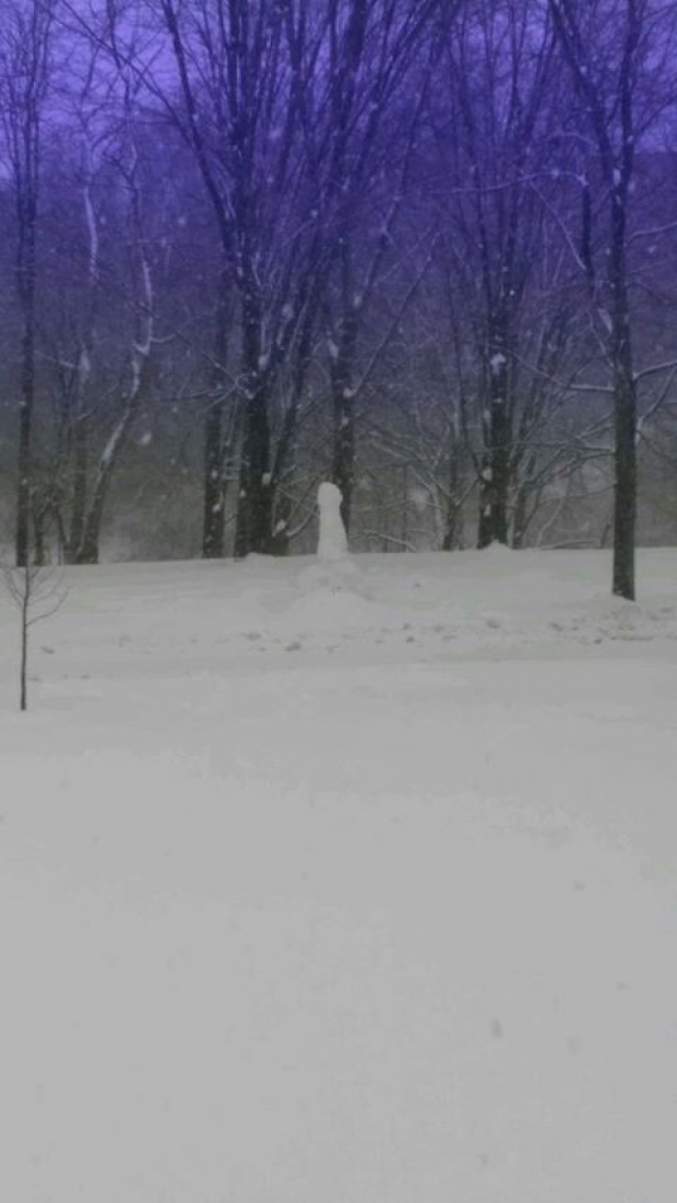 Snow penis at the University of Michigan [Michigan Review]