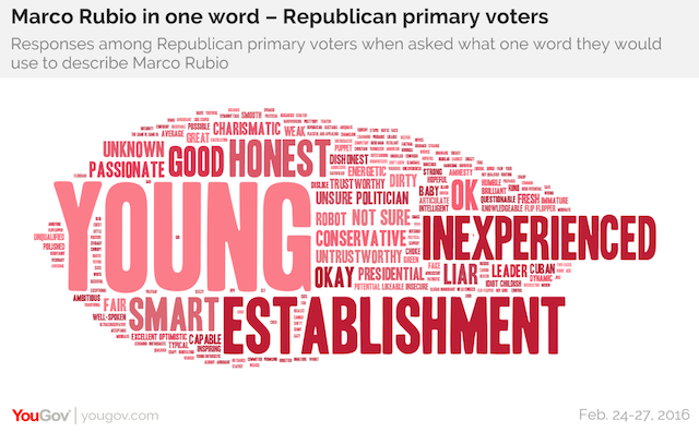Marco Rubio in one word - Republican primary voters