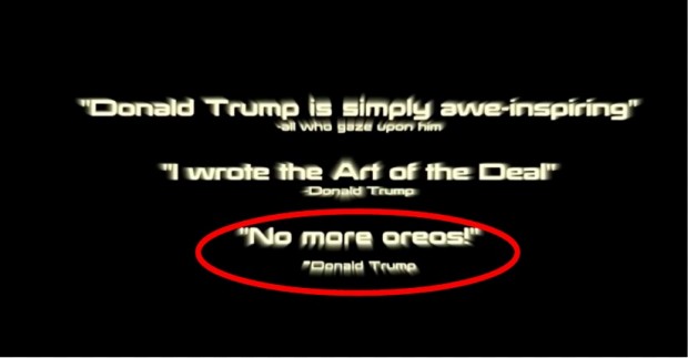 Trump Video (Credit: Screenshot/Twitter Video Donald Trump)