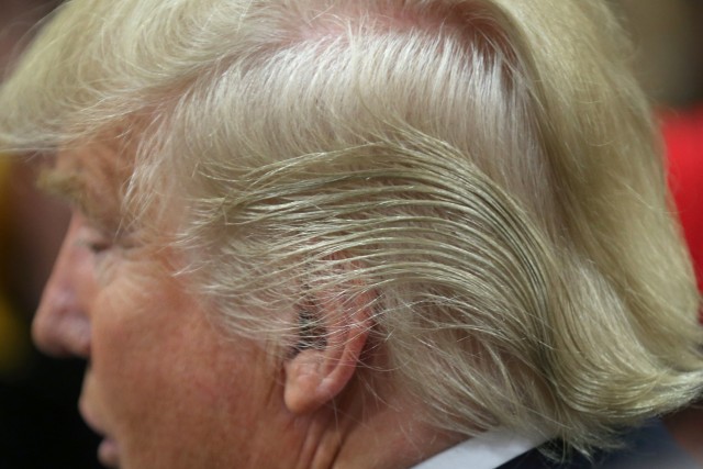donald trump's hair is real