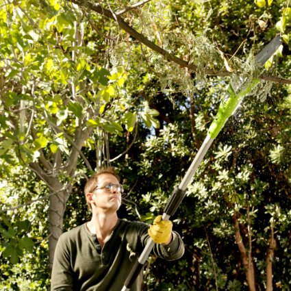 If you have trees with sprawling branches, you should invest in a pole saw (Photo via Amazon)