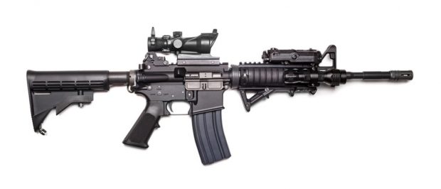 AR-15 (Credit: Shutterstock)