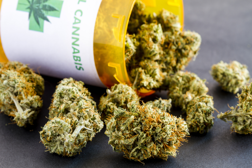 Medical marijuana (Shutterstock)