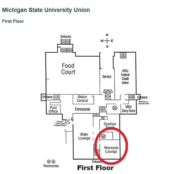 Michigan State University website