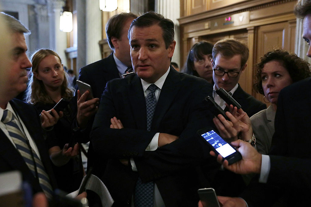 Ted Cruz talks to reporters on Capitol Hill (Getty Images)