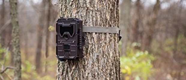 Bushnell trail cameras are on sale today (Photo via Amazon)