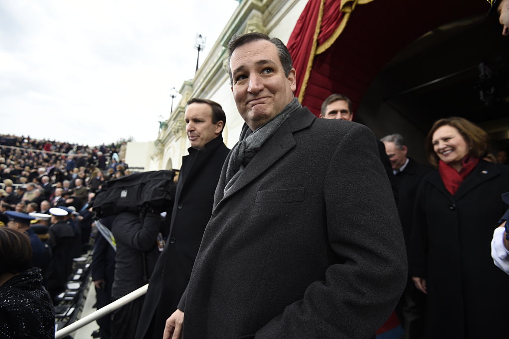 Ted Cruz (Getty Images)