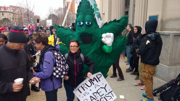 "Hempy" the marijuana mascot. (Steve Birr/The DCNF)