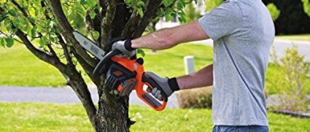 You might need to cut down a tree or two this summer (Photo via Amazon)