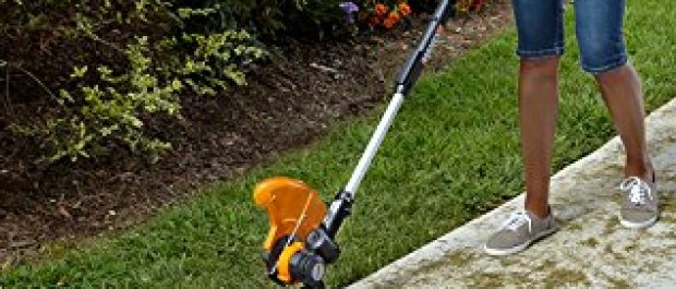 This is a string trimmer, edger and mower (Photo via Amazon)