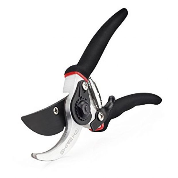 Normally $40, these pruning shears are 75 percent off (Photo via Amazon)