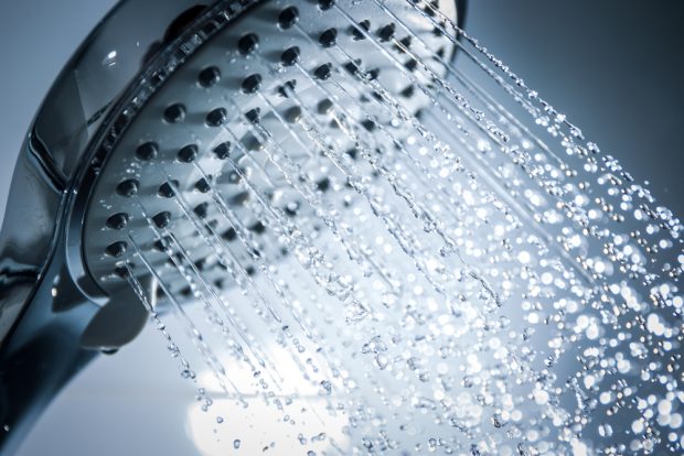 This is a stock photo of a shower head, not the actual shower head (Photo via Shutterstock)