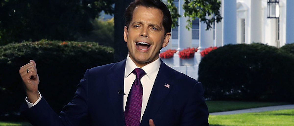 WASHINGTON, DC - JULY 26: White House Communications Director Anthony Scaramucci speaks on a morning television show, from the north lawn of the White House on July 26, 2017 in Washington, DC. (Photo by Mark Wilson/Getty Images)
