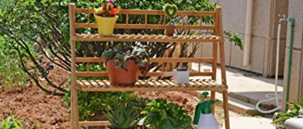This will improve your yard/garden (Photo via Amazon)