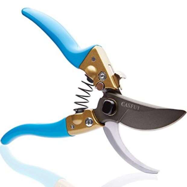 Normally $80, these pruners are 75 percent off (Photo via Amazon)