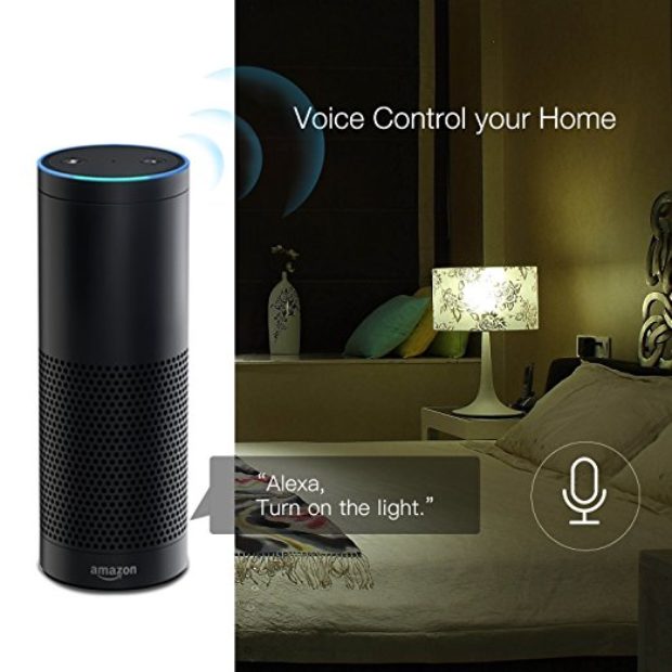 Voice control your home (Photo via Amazon)
