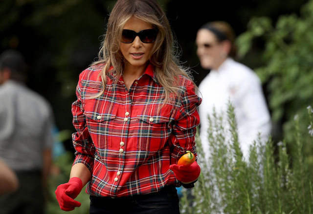 WASHINGTON, DC - SEPTEMBER 22: U.S. first lady Melania Trump joins children from the Boys and Girls Club of Washington in planting and harvesting vegetables in the White House Kitchen Garden September 22, 2017 in Washington, DC. The White House Kitchen Garden is a tradition started by former first lady Michelle Obama. (Photo by Win McNamee/Getty Images)