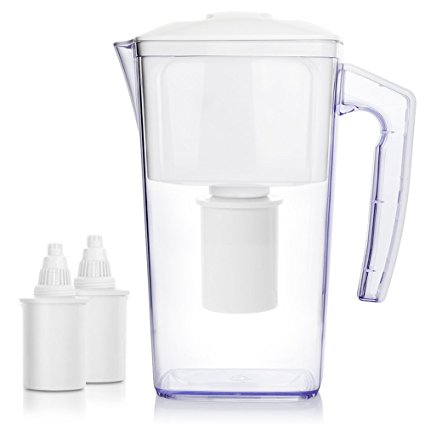 Normally $50, this water filter is 59 percent off with this code (Photo via Amazon)