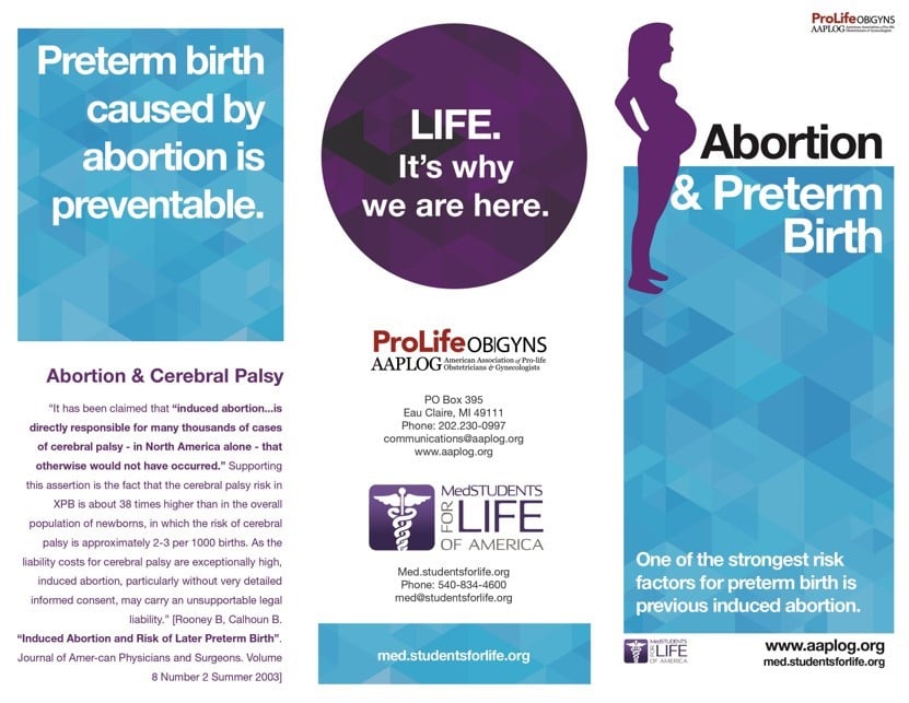 Pro-life information pamphlet (Source: Students for Life of America)