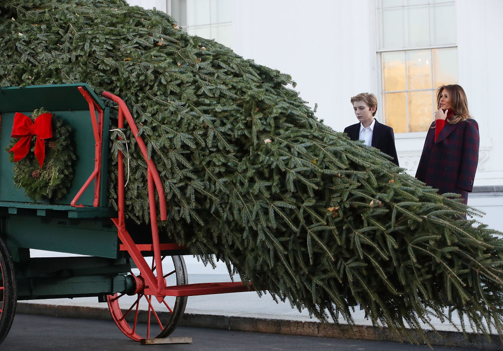 WASHINGTON, DC - NOVEMBER 20: First lady Melania Trump and her son Barron inspect the 19.5-foot balsam Fir that will serve as the official White House Christmas Tree at the White House on November 20, 2017. The tree is a Wisconsin grown Fir provided by the Chapman family of Silent Night Evergreens. (Photo by Mark Wilson/Getty Images)