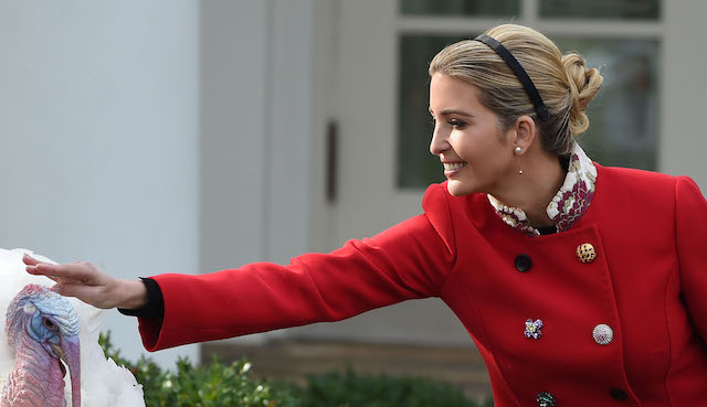 Ivanka Trump pets the turkey, Drumstick, after the turkey pardoning ceremony at the White House in Washington, DC on November 21, 2017. / AFP PHOTO / ANDREW CABALLERO-REYNOLDS (Photo credit should read ANDREW CABALLERO-REYNOLDS/AFP/Getty Images)