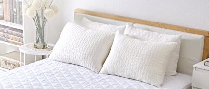 Sable pillows (Photo via Amazon)