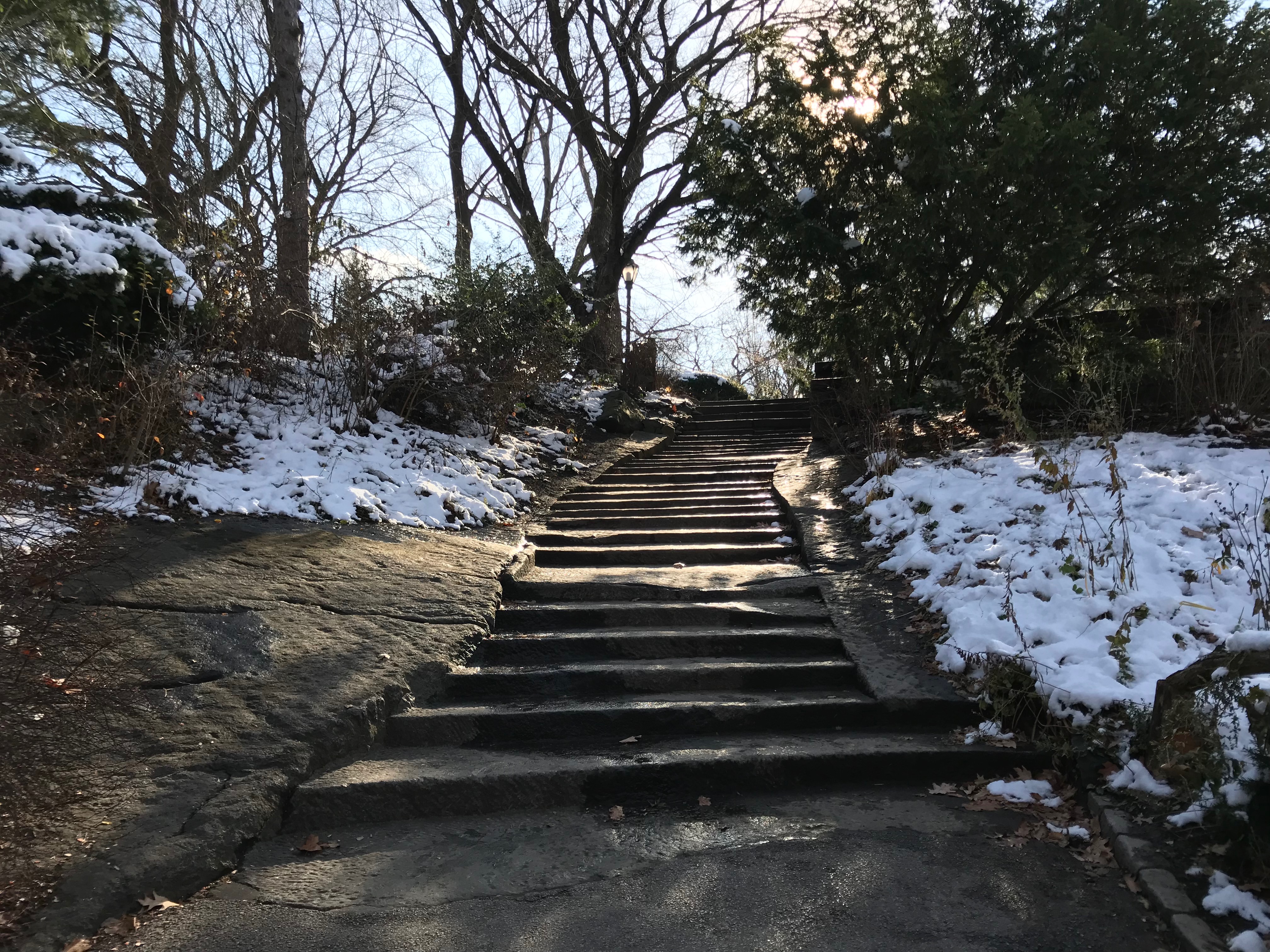 A stairway in the Shakespeare Garden in Central Park in New York City. (DCNF/Ethan Barton)