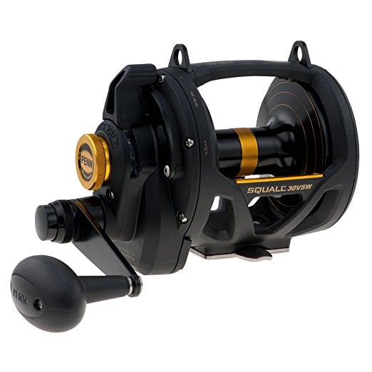 Normally $300, this fishing reel is 43 percent off today (Photo via Amazon)