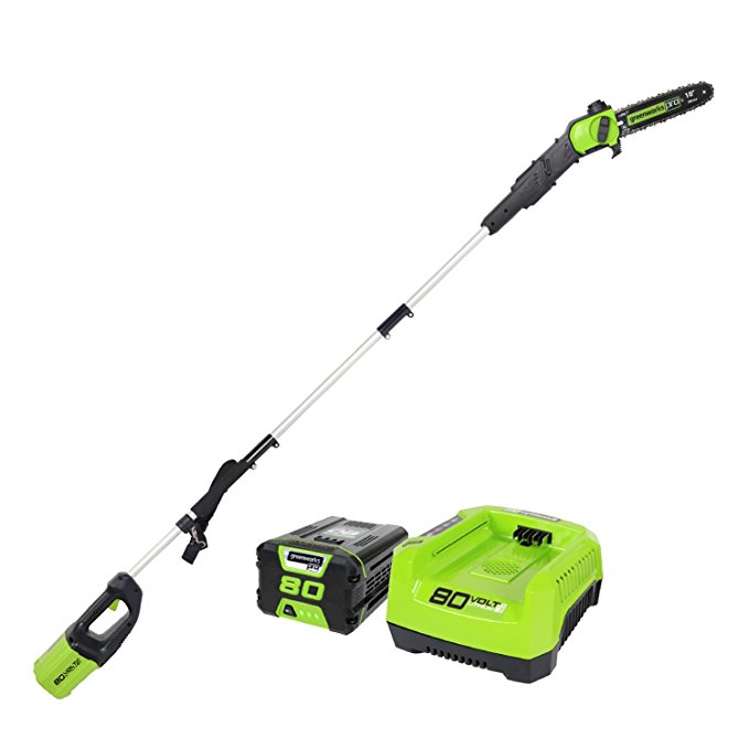 Normally $264, this cordless pole saw is 21 percent off today (Photo via Amazon)