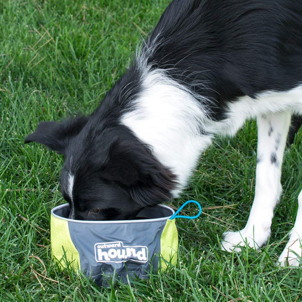 Dog bowl (Photo via Amazon)